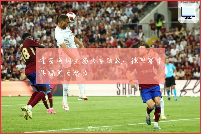 霍芬海姆主场力克劲敌，德甲赛季再现黑马潜力