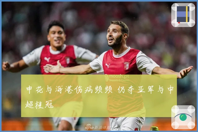 申花与海港伤病频频 仍夺亚军与中超桂冠